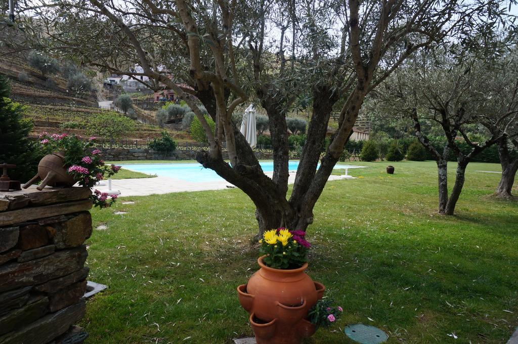 Quinta Madureira Villa Alfoloes Buitenkant foto