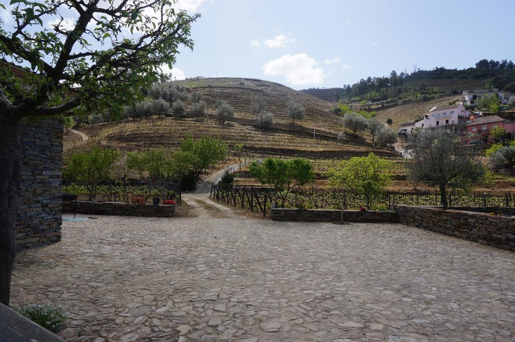 Quinta Madureira Villa Alfoloes Buitenkant foto